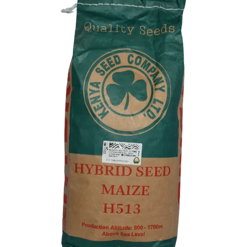 MAIZE 513 HYBRID 1KG K.SEED