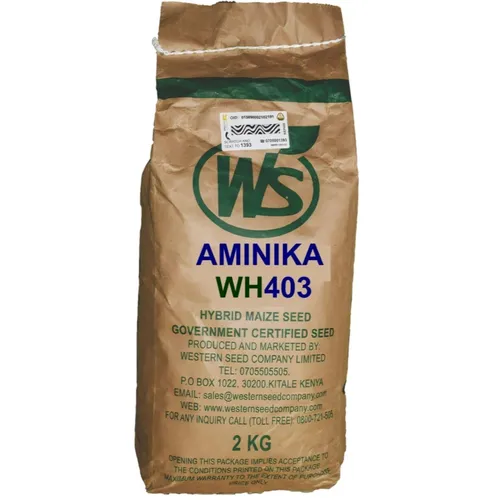 MAIZE 403 HYBRID 2KG W.SEED AMINIKA