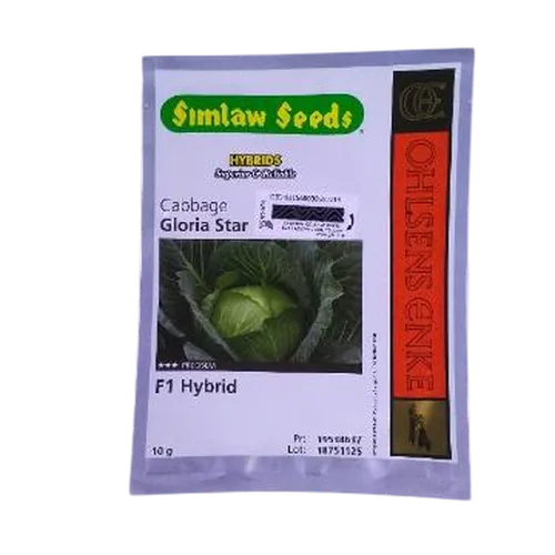 CABBAGE GLORIA STAR F1  10GM