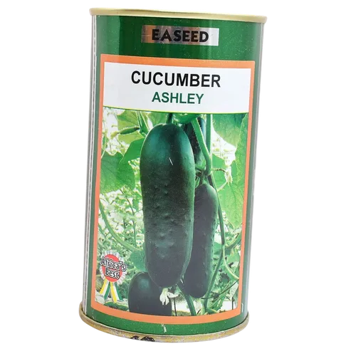 CUCUMBER ASHLEY   25GMS EA