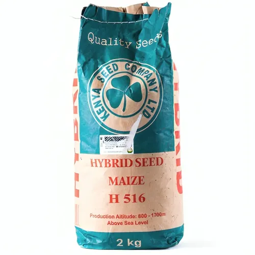 MAIZE 516 HYBRID 2KG K.SEED