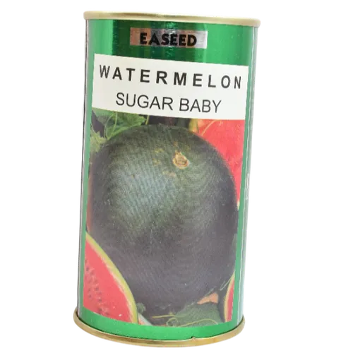 W MELON SUGARBABY  100GMS EA