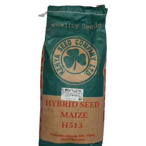 MAIZE 513 HYBRID 5KG K.SEED