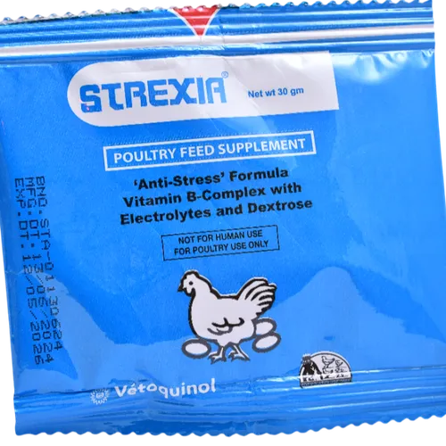 POULTRY VITAMIN STREXIA 30GMS OSHO