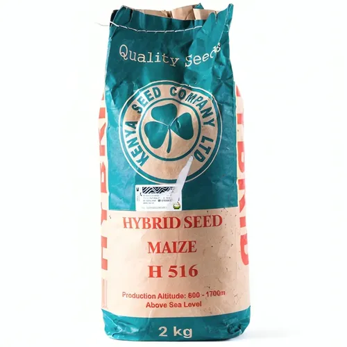 MAIZE 516 HYBRID 1KG K.SEED