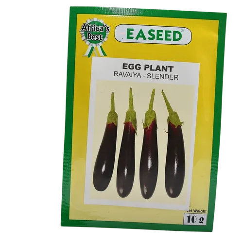 EGGPLANT RAVAYA SLENDER 10GM