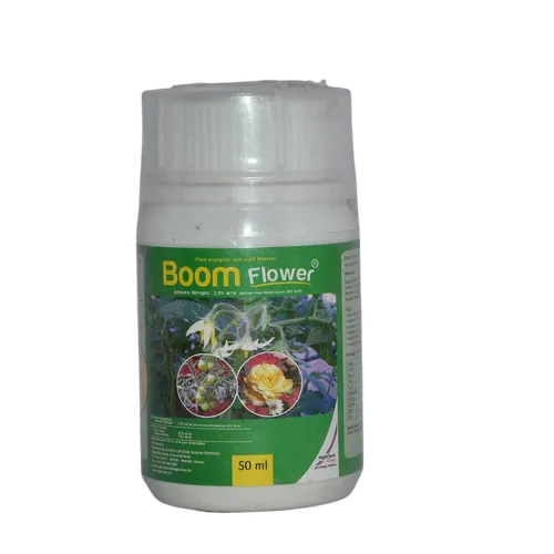BOOM FLOWER   50MLS