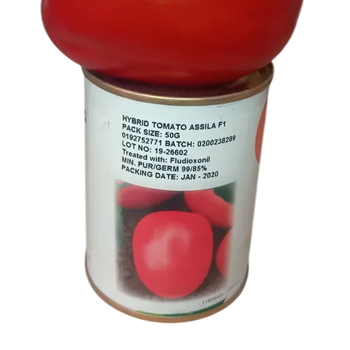 TOMATO ASSILA  100 SEEDS SEMIN