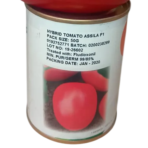 TOMATO ASSILA 1,000 SEEDS SEMI