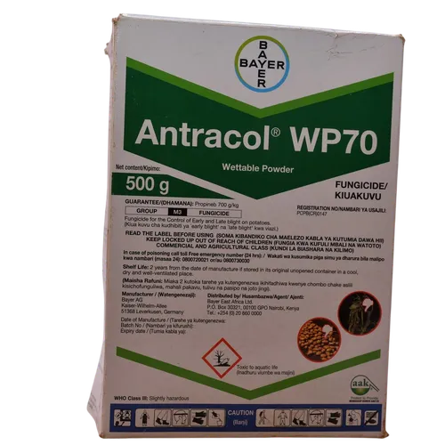 ANTRACOL  500GMS