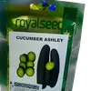 CUCUMBER ASHLEY 25GMS ROYAL