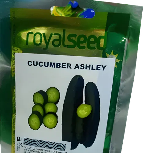 CUCUMBER ASHLEY 25GMS ROYAL