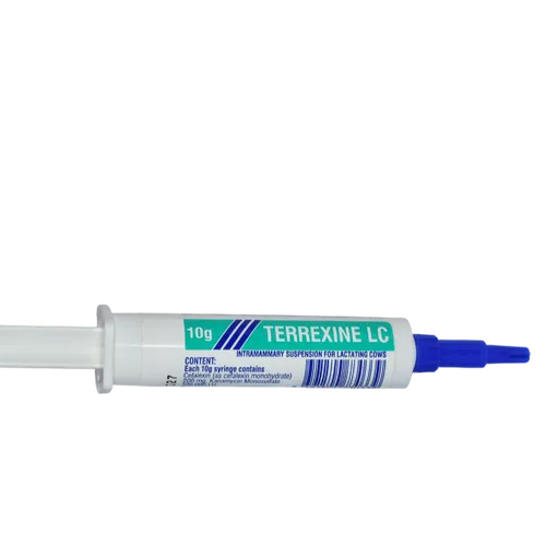 TERREXINE INTERMAMMARY 10GMS